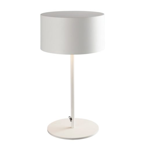 Table Portable Led Light